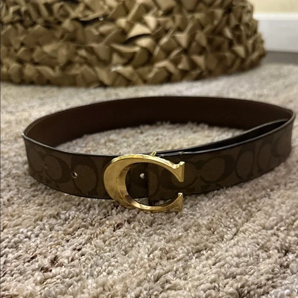 Brown and Gold Women's Belt - Picture 1 of 4